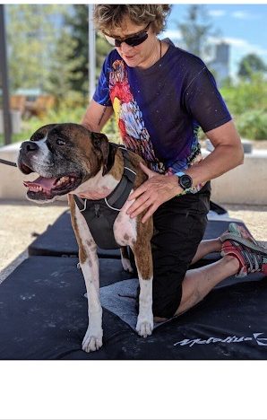 20240229_201231678_iOS